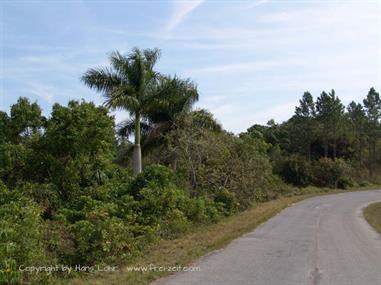 2004 Cuba, Cayo Levisa - Cayo Ensenachos, DSC00765 B_B720